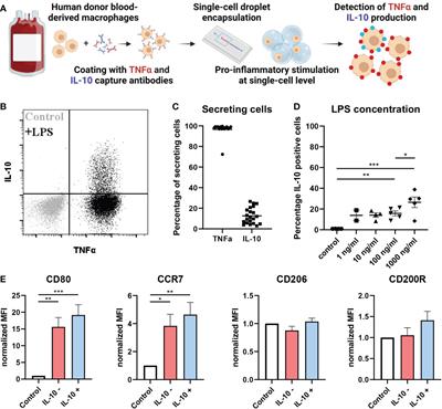 Single-cell analysis reveals TLR-induced macrophage heterogeneity and quorum sensing dictate population wide anti-inflammatory feedback in response to LPS